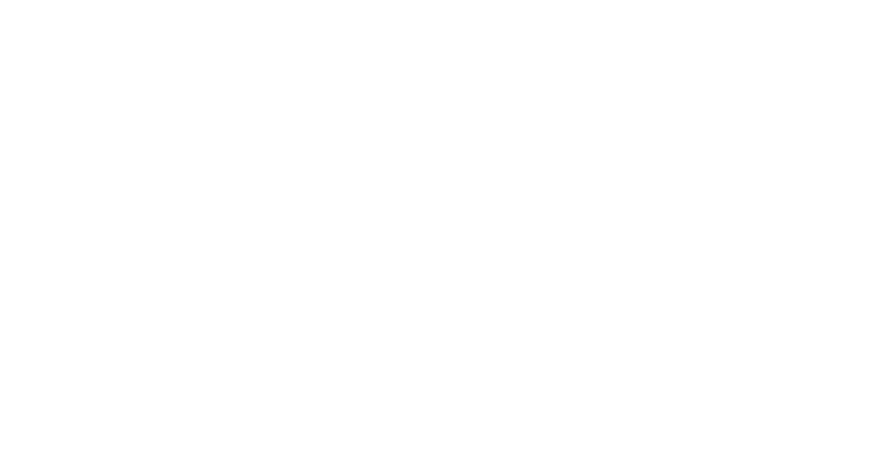 All in One Aussie Cleaning Official Logo